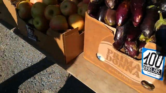 Южный рынок Новороссийск цены на овощи в ноябре 2020 смотреть онлайн