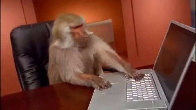 Когда завис ноут смотреть онлайн