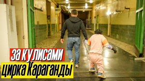 ПОДГОТОВКА К ПРЕМЬЕРЕ! ШИМПАНЗЕ Боня и Дан Запашный за кулисами цирка Караганды