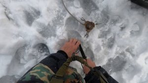 Судак зимой с эхолотом Практик 6М