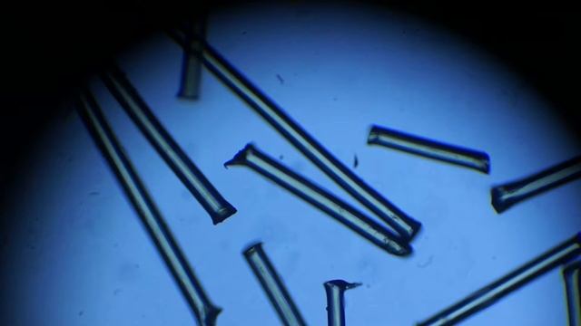 Волокна стекловаты. Готовый микропрепарат к магазинному микроскопу смотреть онлайн