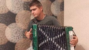 Шуйская гармонь Чайка 2