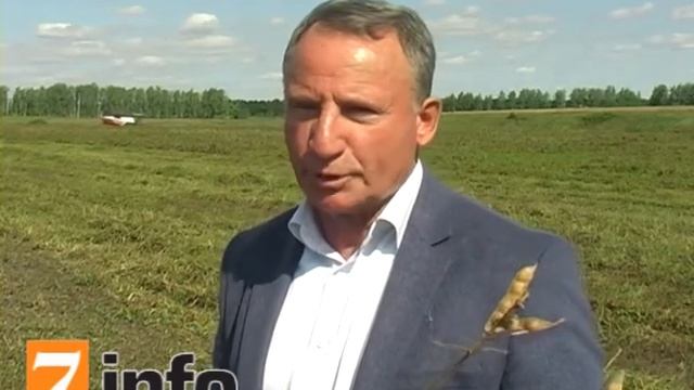 В ООО «Авангард» убирают люпин смотреть онлайн