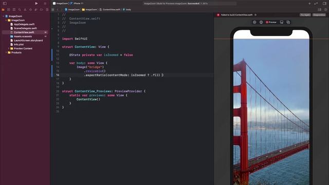 Zoom In & Zoom Out Image In SwiftUI | SwiftUI Tutorial