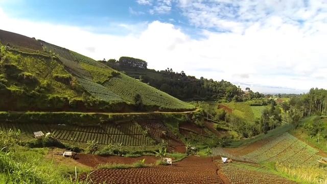 Tahura Bandung 21 KM - || TRAIL RUN #1 смотреть онлайн