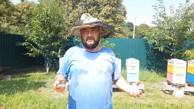 Товарный Сотовый Мёд!!!