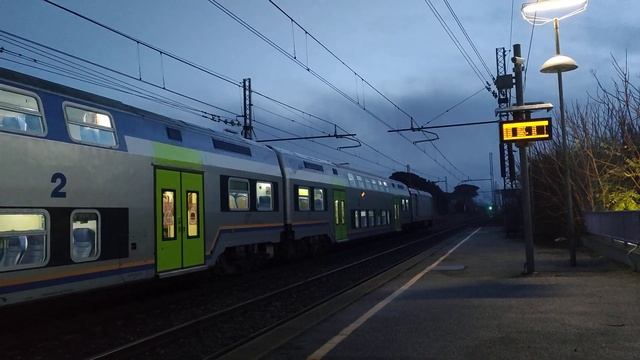 il piccolo regionale a Castagneto Carducci смотреть онлайн