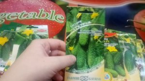 Обзор сортов огурцов, мои любимые сорта!!! Огурцы на Урале.