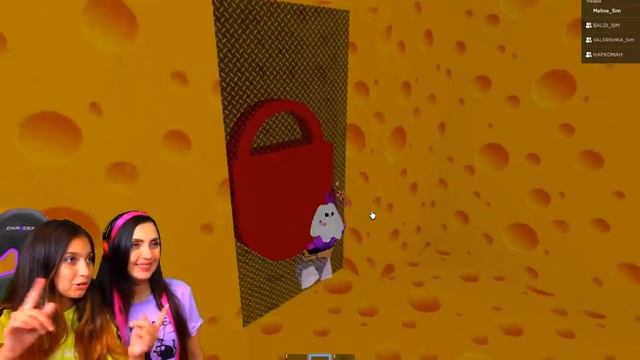 РОБЛОКС ОТКЛЮЧАЮТ ЧЕРЕЗ 2 ДНЯ ??ПРАВДА roblox читер ? СУМАСШЕДШАЯ КРЫСА Cheese Escape Валеришка смотреть онлайн