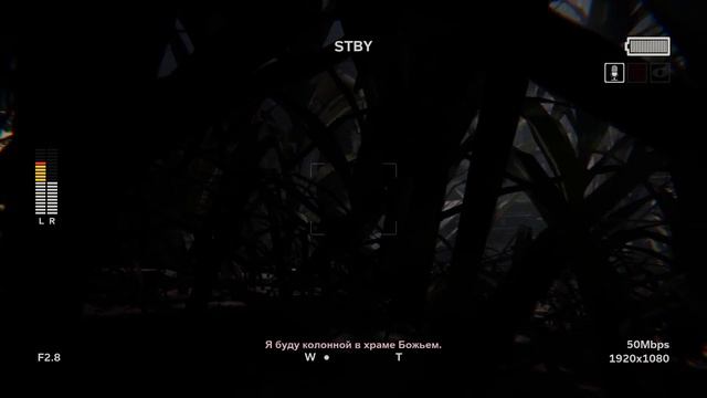 Прохождение Outlast 2 #3 КРОВЬ, ПОВСЮДУ КРОВЬ! смотреть онлайн