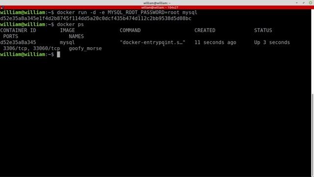 O que são os EntryPoints em Docker? смотреть онлайн