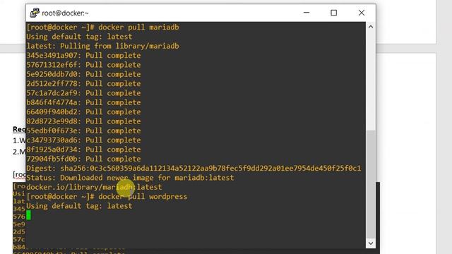 How to Install MariaDB & Wordpress In Docker part 04 | Easy Solution смотреть онлайн