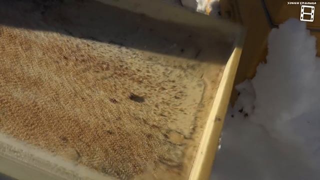 ПОДГОТОВКА К ПЕРВОМУ ВЕСЕННЕМУ ОБЛЕТУ ПЧЕЛ. ПОПУТНЫЕ РАБОТЫ НА ПАСЕКЕ ДЛЯ НАЧИНАЮЩИХ ПЧЕЛОВОДОВ 22- смотреть онлайн