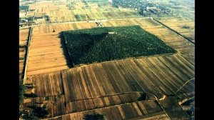 Его боятся и поклоняются все президенты на земле | Сон Разума