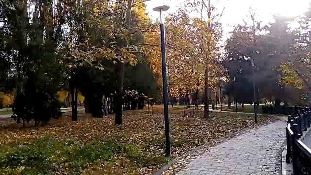 Крым Симферополь осень парк Гагарина 2021 г. смотреть онлайн