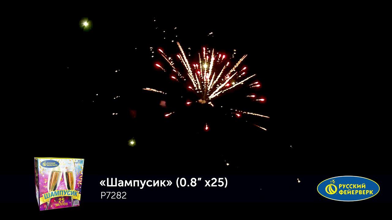 P7282 смотреть онлайн