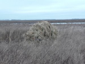 Самый лучший самодельный скрадок своими руками на гуся и утку. Homemade skradok for goose and duck.