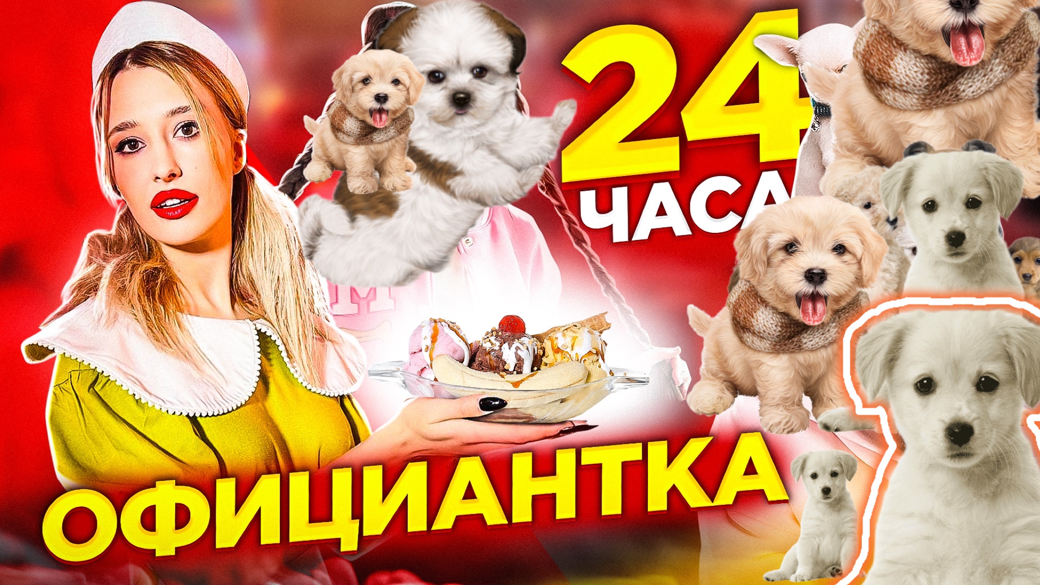 На 24 часа стала ОФИЦИАНТКОЙ смотреть онлайн