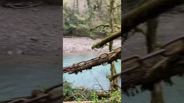 #река #вода #nature #природа смотреть онлайн