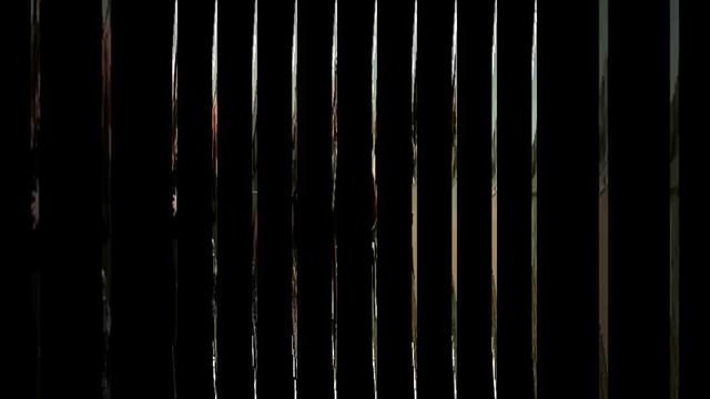 Для Леночки 12.01.2020 смотреть онлайн