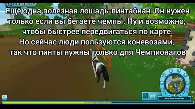 Какую лошадь лучше купить? Полезное/ StarStableOnline