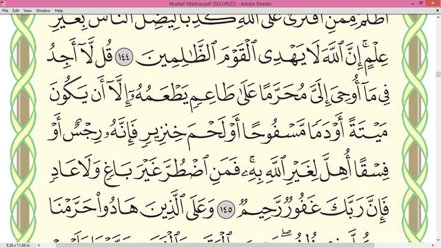 Practice Reciting With Correct Tajweed - Page 147 (Surah Al-An'am)