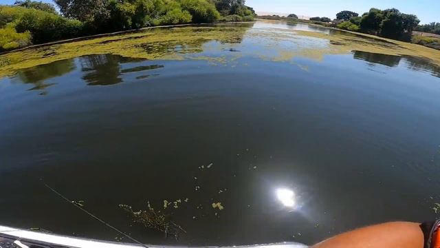 UFC 6 on the delta day 1 of 2 смотреть онлайн