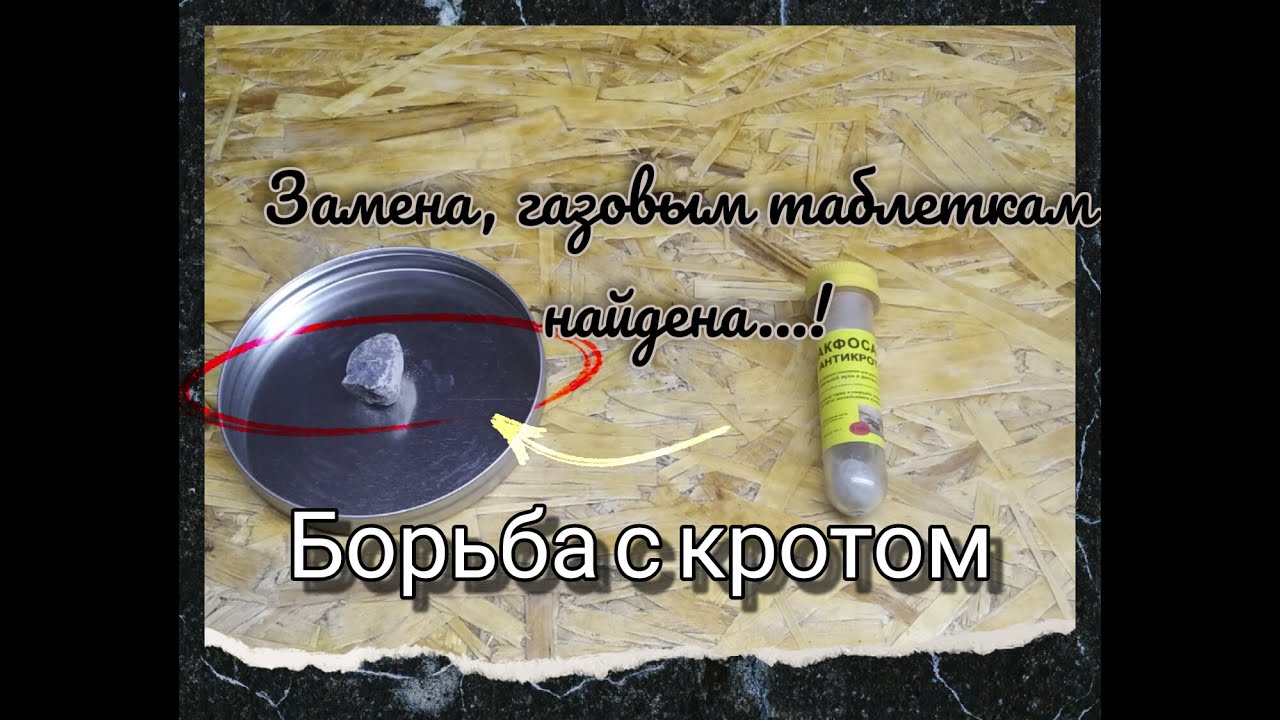 Борьба с кротами, простой но эффективный способ ???? смотреть онлайн