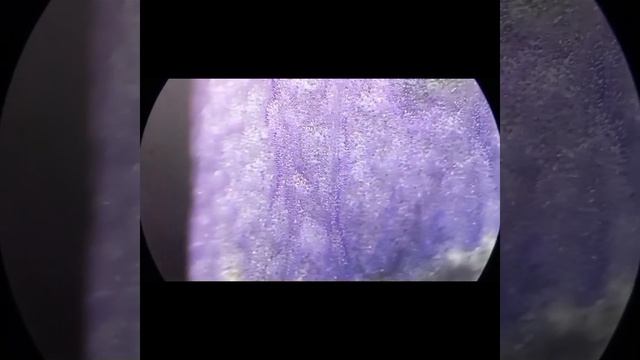 ФИОЛЕТОВЫЙ ИРИС ПОД МИКРОСКОПОМ / ФАНТАСТИЧЕСКИЕ ЦВЕТА #youtube #underthemicroscope #microworld смотреть онлайн