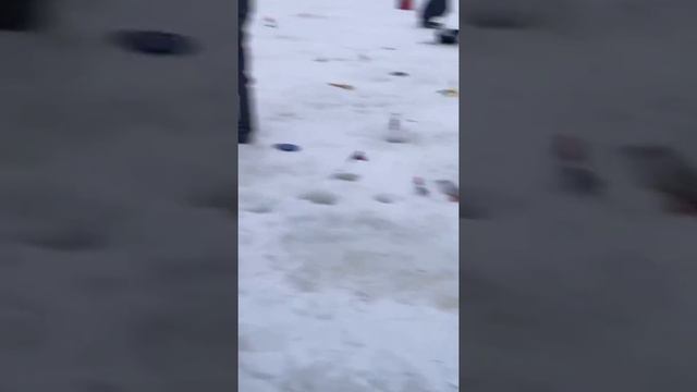Зарыбление форели, первые поимки смотреть онлайн