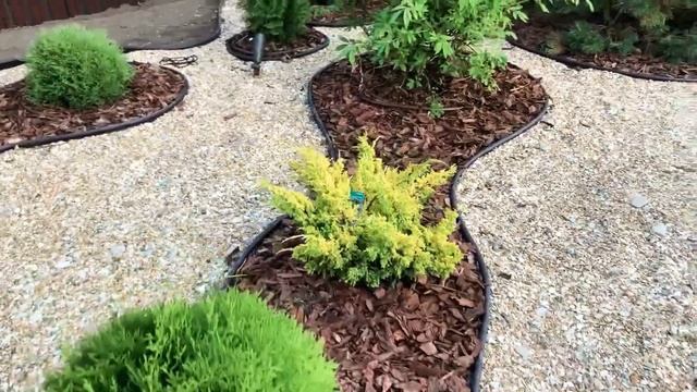 Зелёная крыша. #Зеленаякрыша смотреть онлайн