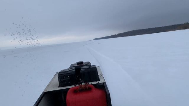 Прогулка на мотособаке