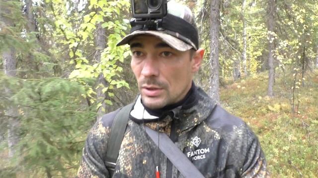 НАШЁЛ РАСКЛЁВАННОГО ГЛУХАРЯ / ПОХОД В ТАЙГУ НА ПОИСКИ БОРОВОЙ ДИЧИ / ОСЕННЯЯ ОХОТА С МЕЛКАШКОЙ. смотреть онлайн