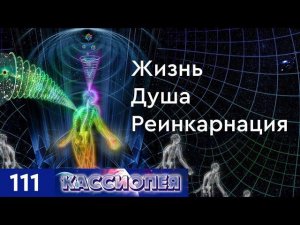 #111 Жизнь, душа и реинкарнация. Триединство природы духа: разум, сердце, энергия.