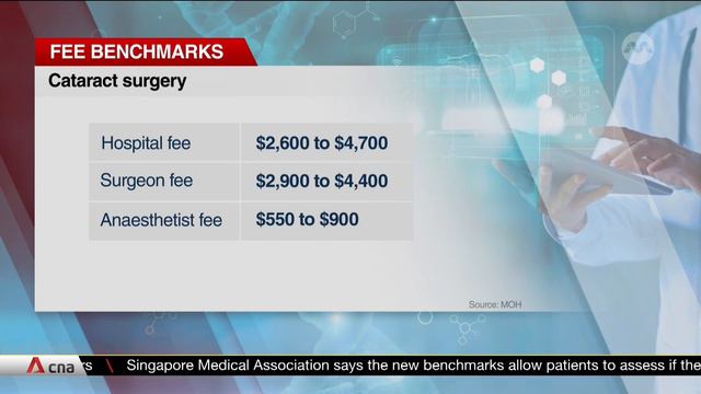 Singapore's Health Ministry sets new fee benchmarks for private hospitals, doctors смотреть онлайн