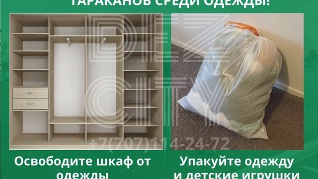 Как подготовить квартиру к дезинсекции против тараканов смотреть онлайн