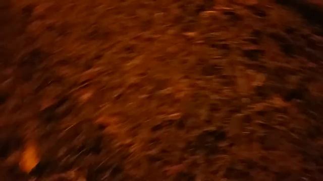 Мышка прячется.