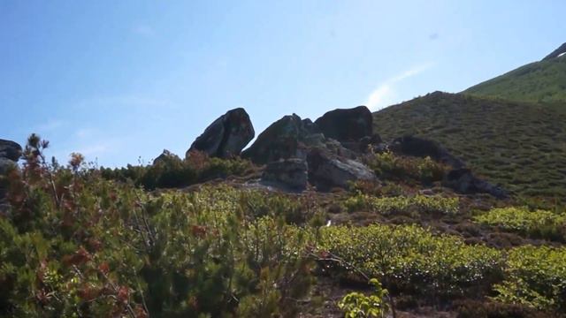 Николаевские столбы смотреть онлайн