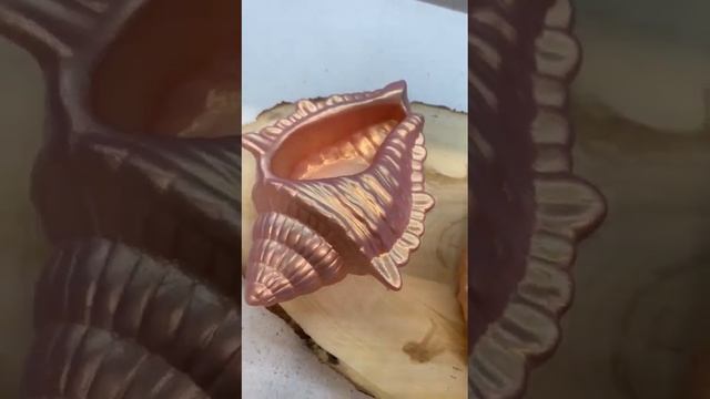 Ракушки из гипса перламутровые смотреть онлайн