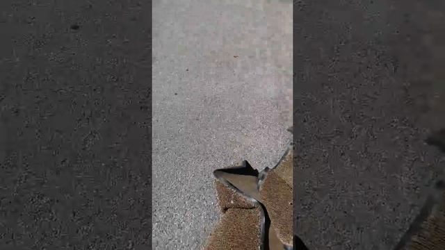 A scoole. Electrones day смотреть онлайн