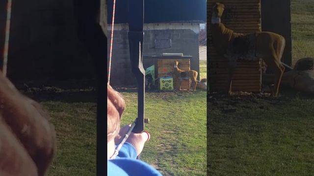Larry Morgan tuning смотреть онлайн