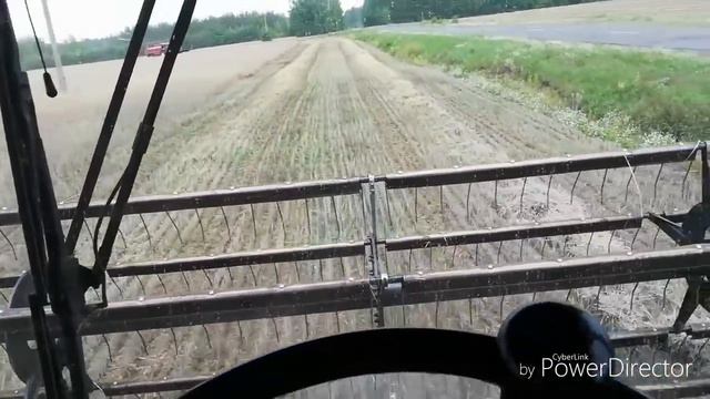Дожди мешают! Убираю рожь! смотреть онлайн