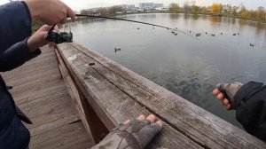 ДВА ЧАСА МОРМЫШИНГА