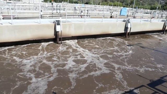 Pure Water Episode 002 - Joe and Dave Talking Tapia смотреть онлайн
