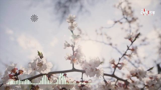 রূপসী এক পরী ও এক মাস্তানের প্রেমের কাহিনী! রহস্যময় প্রেমের ঘটনা смотреть онлайн