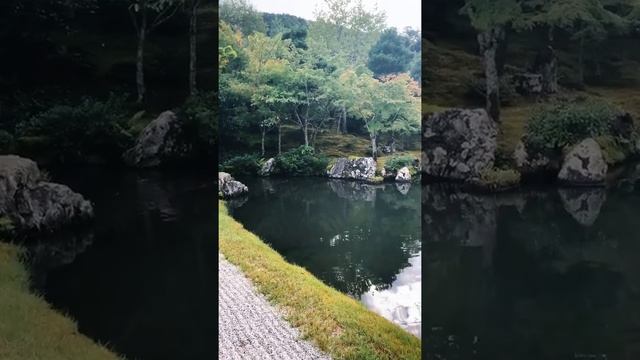 Гуляем по Арасияме смотреть онлайн