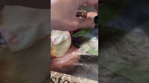 Модернизация втулки заднего колеса мопеда альфа.