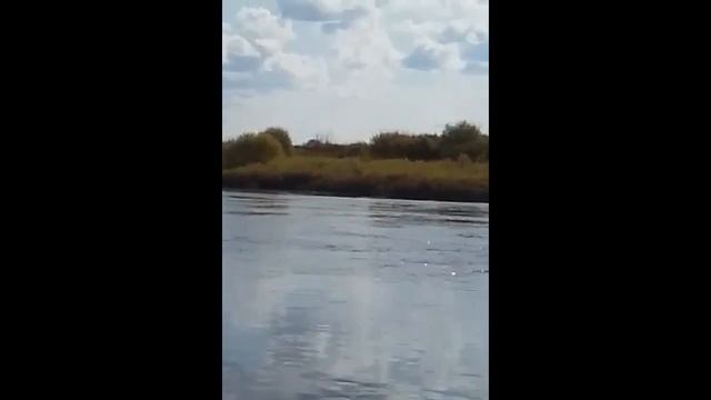 клип про рыбалку смотреть онлайн