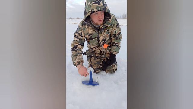 Ловля окуня зимой, ловля щуки на жерлицы, на что ловить окуня зимой. рыбалка ХМАО. ловля на баланси смотреть онлайн