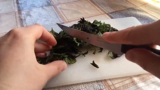 Весенний супчик из молодой крапивы